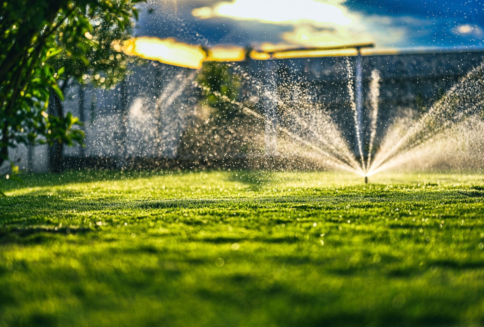Expert Professional Irrigation Services in Euless, TX for Reliable Lawn Care